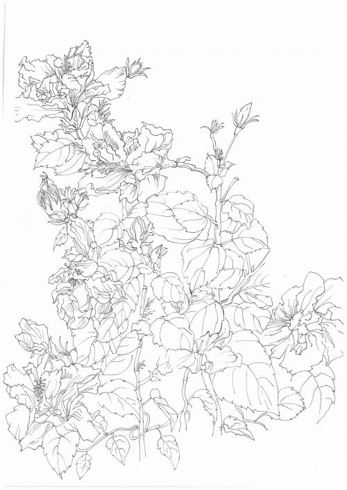 菲律宾国际驾照